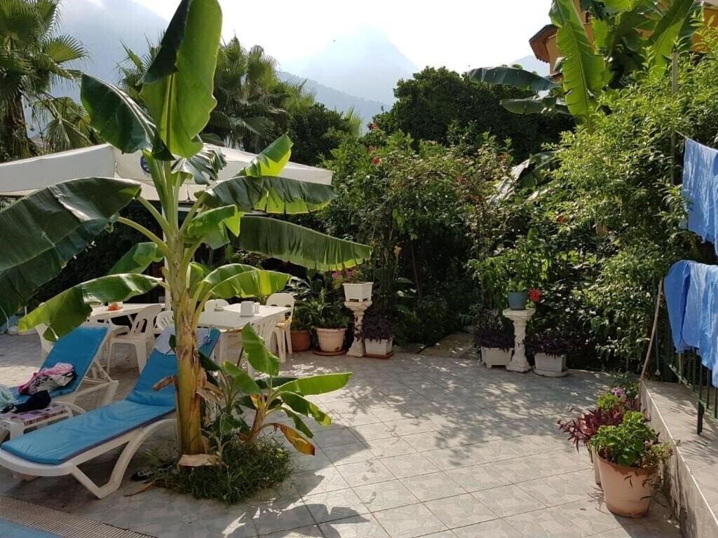 Santana Hotel 3* суреті