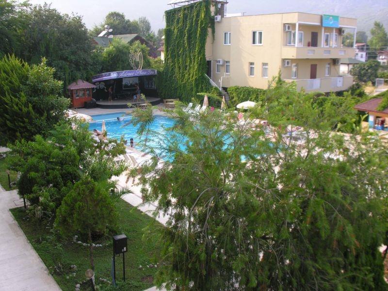 Фотография California Dream 3*