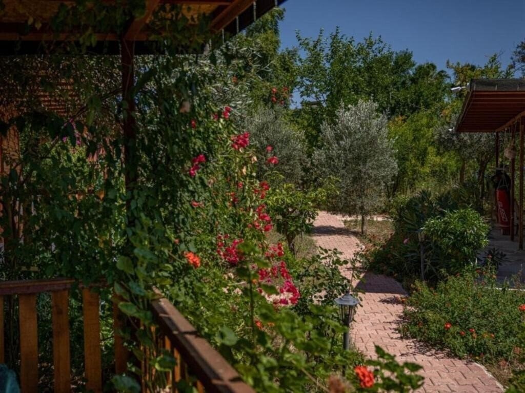 Felicity Hotel & Bungalows 3* суреті