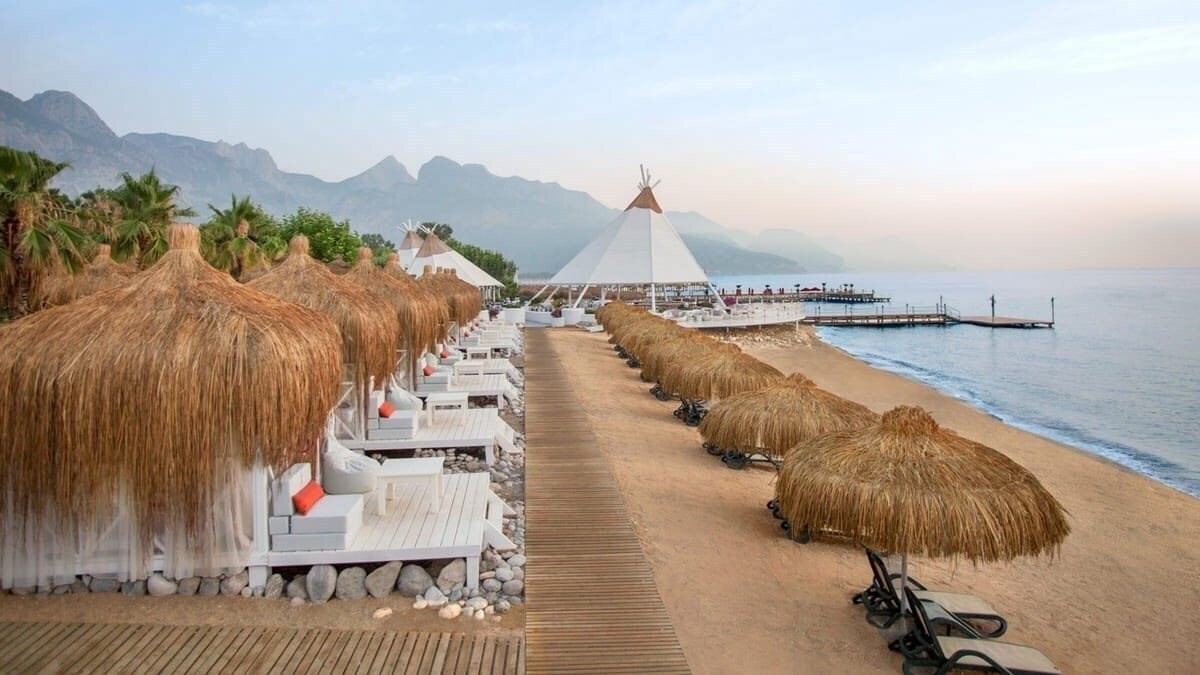 Balmy Foresta 5* суреті