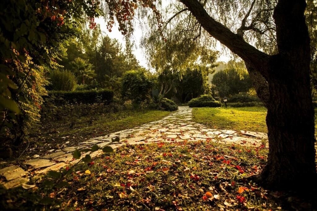Изображение Beso Hotel Berke Ranch & Nature 3*