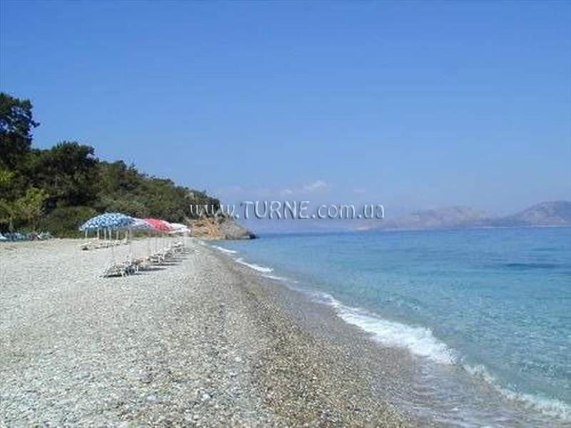 Фото Green Gold 4*