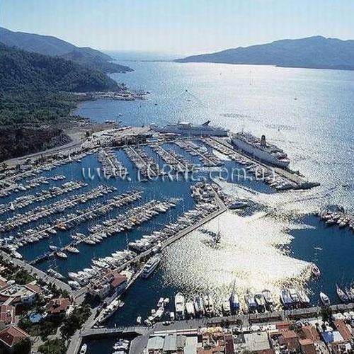 Фотография Image 2*