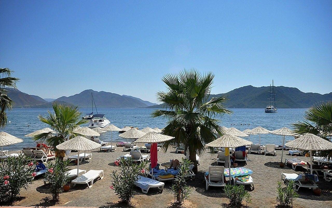 Tropical Beach Hotel 5* суреті