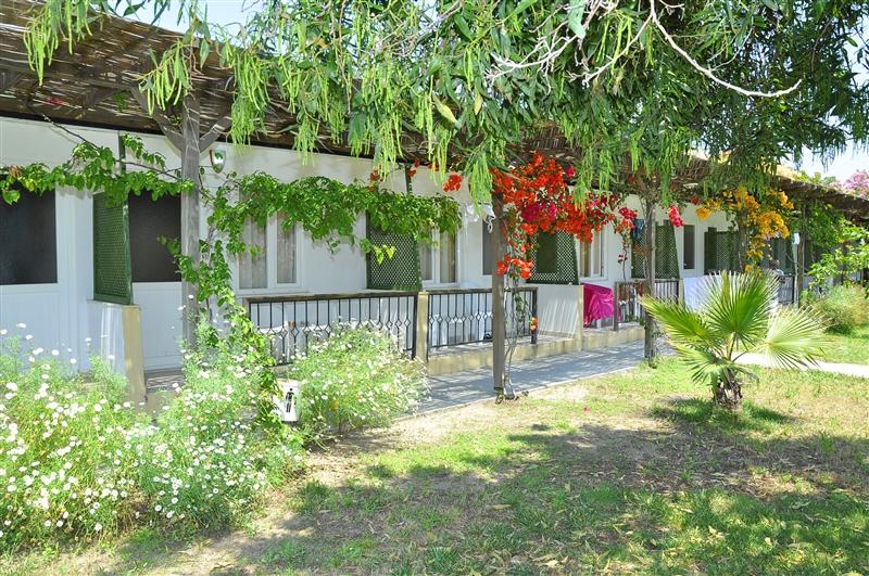 Club Serena Beach 4* фотосуреті