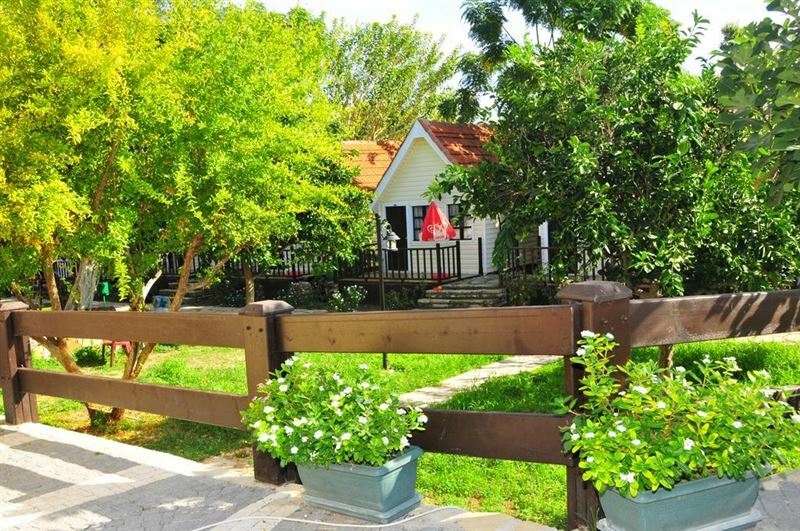 Изображение Clover Magic Nova Beach Hotel 3*