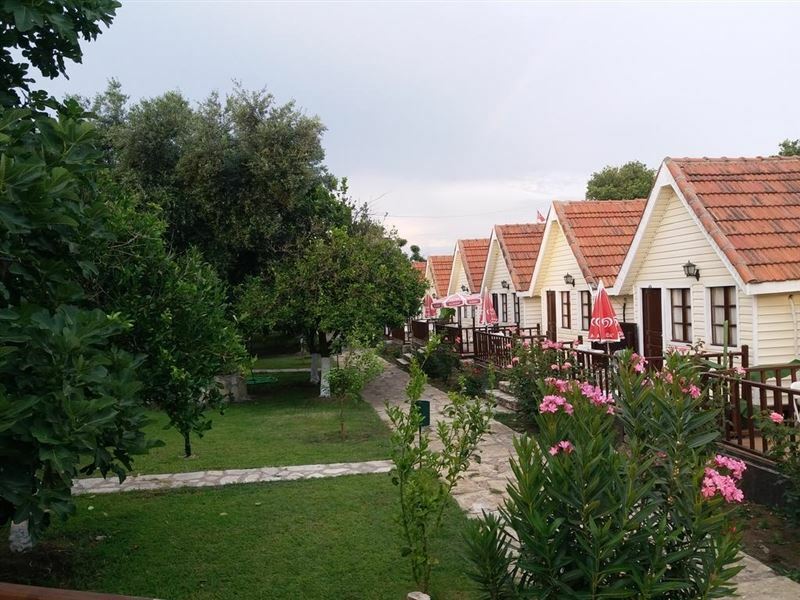 Отель Clover Magic Nova Beach Hotel 3*