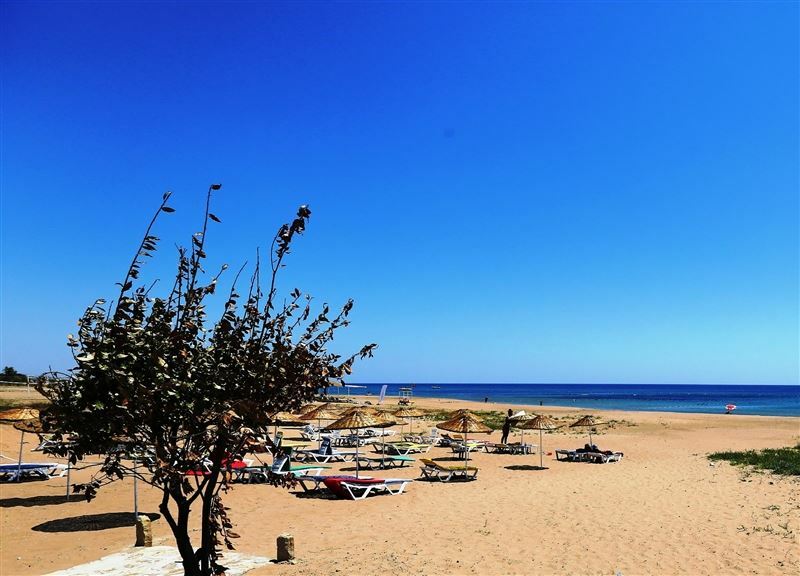 Фотография Ryma Hotel 3*