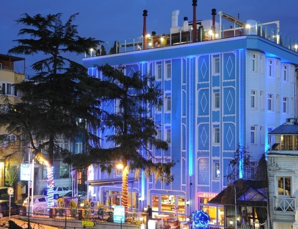 Отель Blue House Hotel & Rooftop (ex. Blue House Hotel, Blue House Hotel Istanbul, Blue House Mavi Ev Hotel) 3*