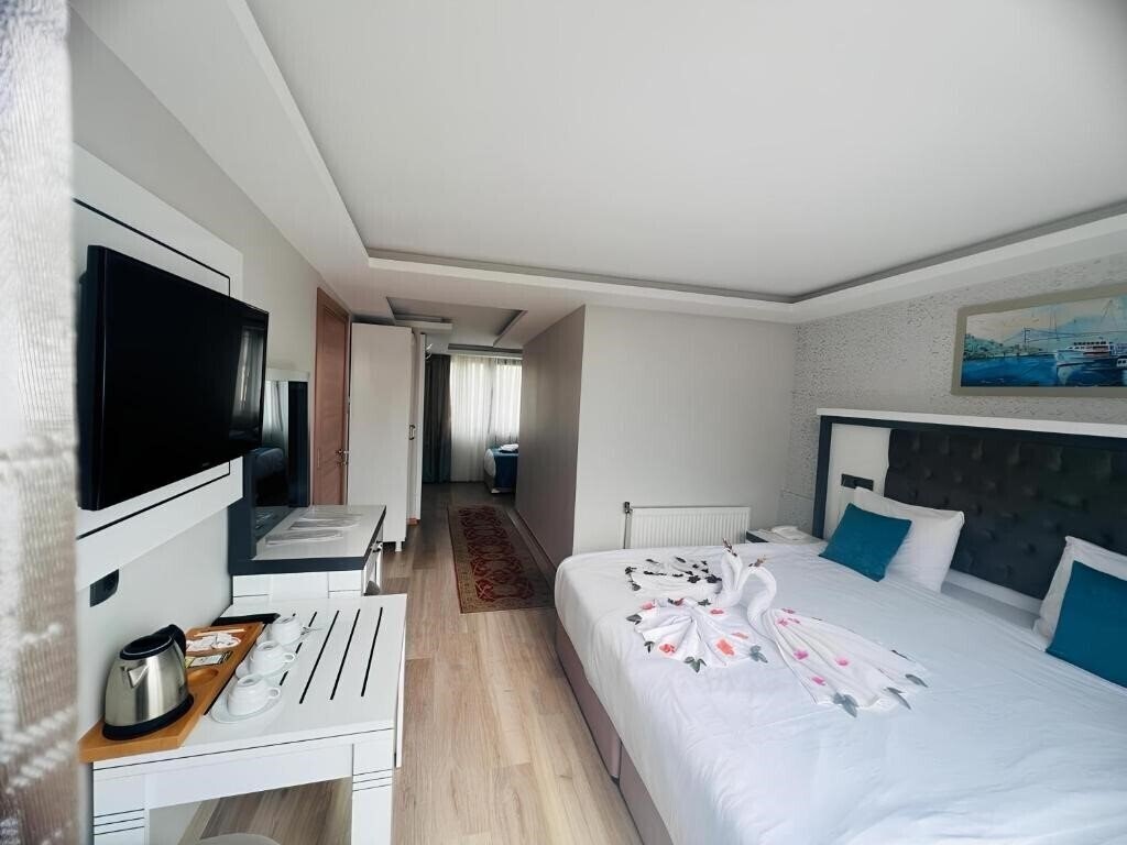 Maritime Hotel Istanbul 2* суреті