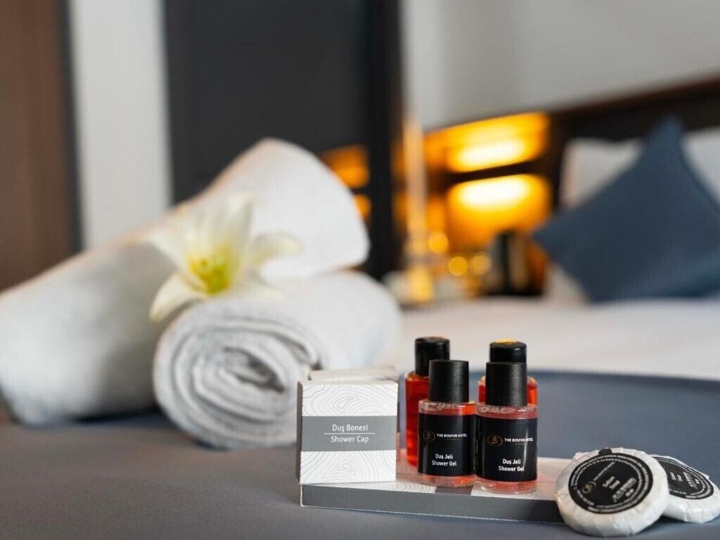 Фотография The Bosfor Hotel 3*