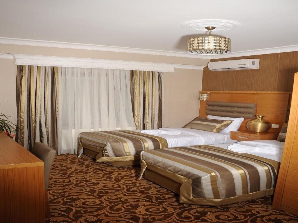 Фото Alfa Hotel 3*