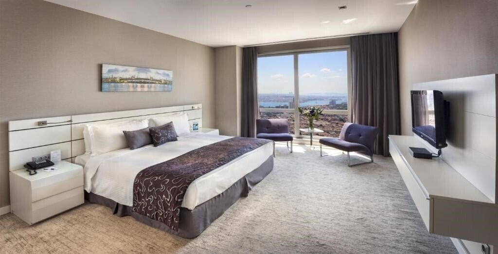 Отель Fraser Place Anthill Istanbul 4*