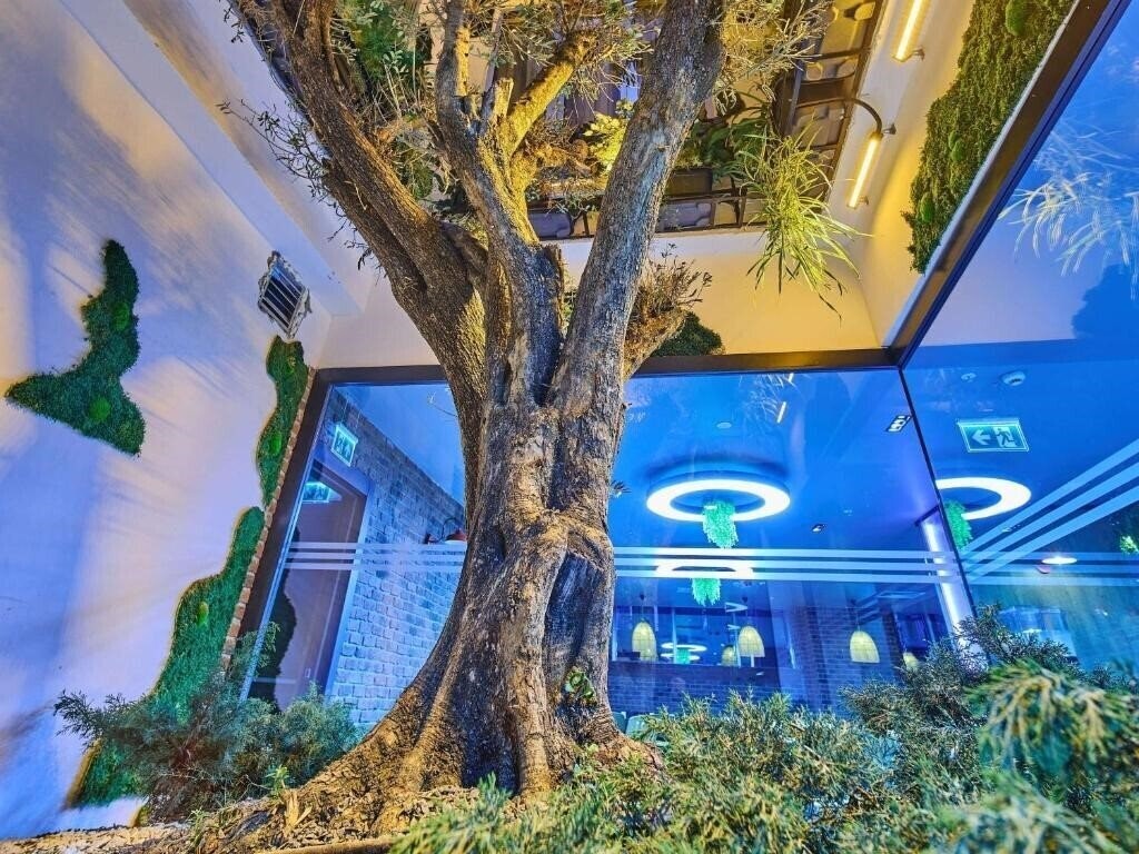 Ibis Istanbul Airport 3* суреті