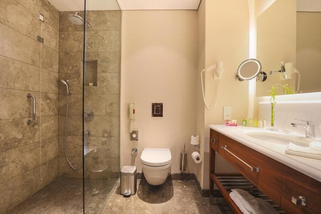 Изображение Crowne Plaza Istanbul - Oryapark 4*