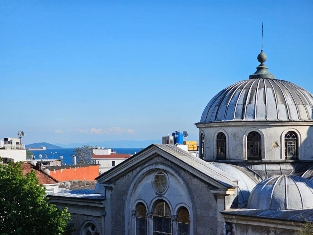 Grey House 3* суреті