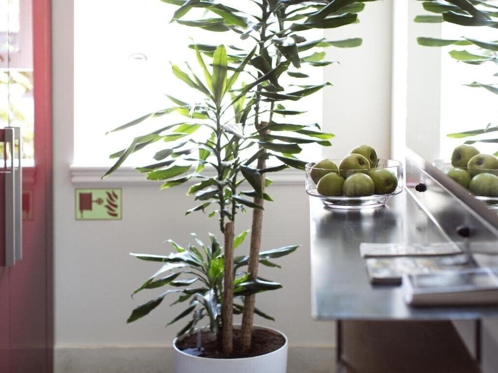 Casa Di Bava Istanbul 4* суреті