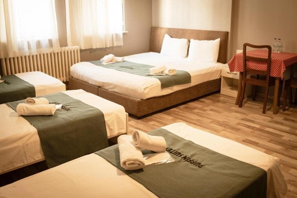 Puffin Hostel 3* суреті