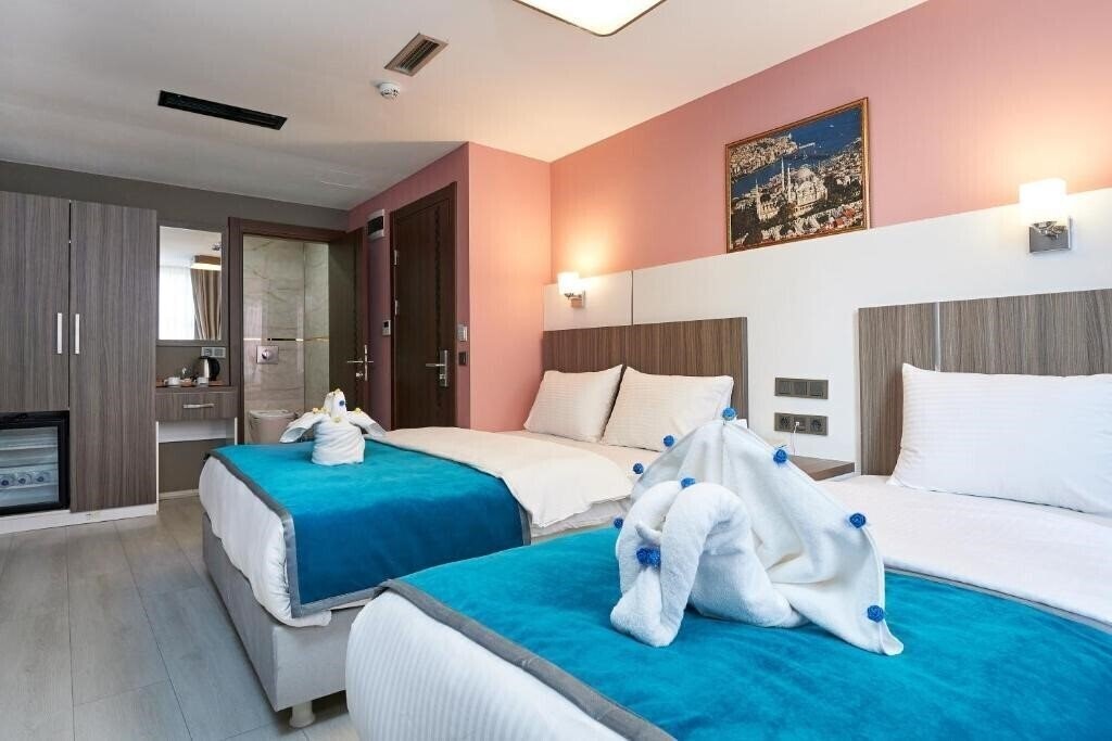 Renzo Hotel (ex. Istanbul Blue Hotel Beyazit) 3* қонақ үйі