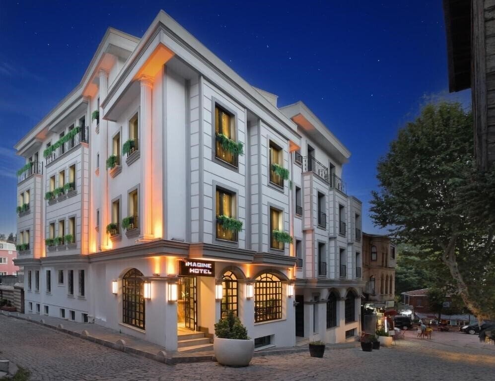 Imagine Hotel 4* суреті