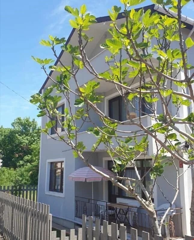 Отель Agva Marina House 3*