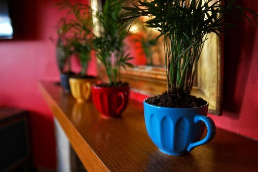 Изображение Nomade Old City Hotel (ex. Nomade, Nomade Oldcity) 3*