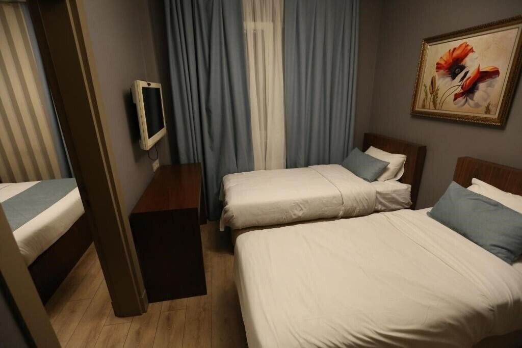 Alba Hotel (ex. Alba Hotel Taksim Boutique, Eva Residence Taksim) 3* суреті