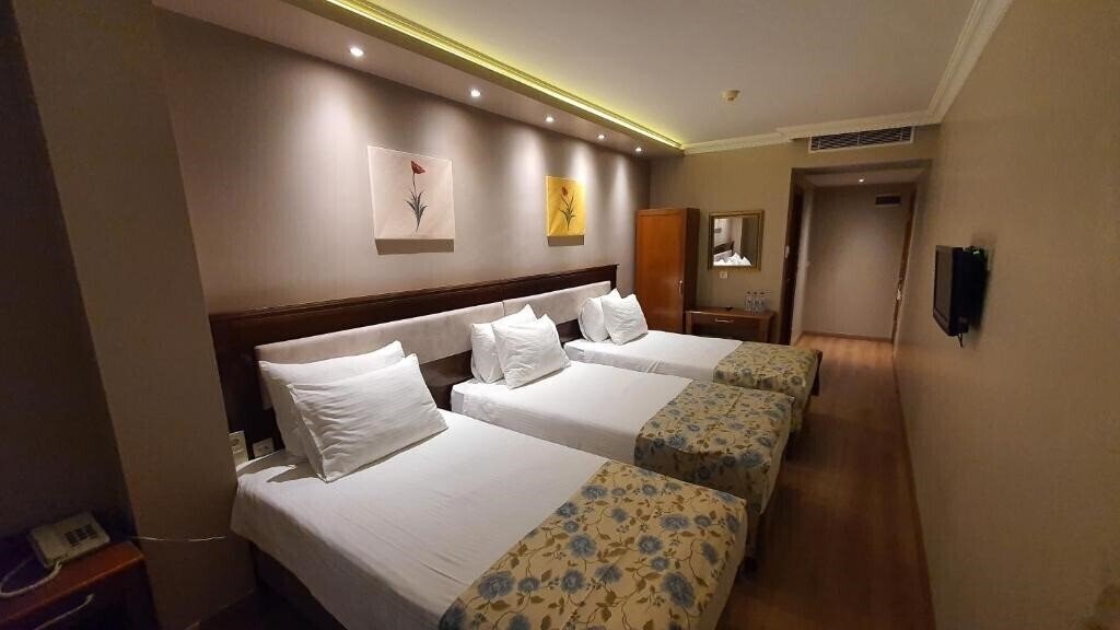 Asur Hotel 3* қонақ үйі