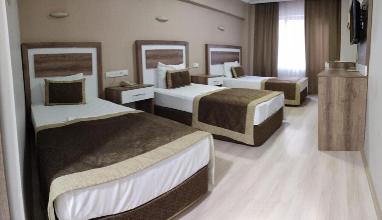 Dempa Hotel 3* суреті