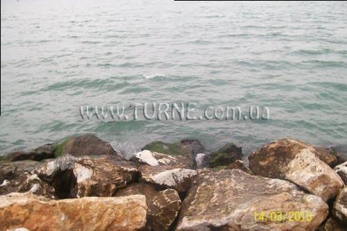 Отель Asr-I Ala Yalova Thermal (ex. Thermalium Wellness Park) 4*