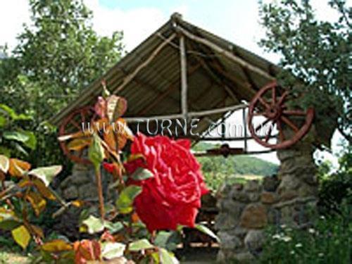 Аллюр отель без категории фотосуреті