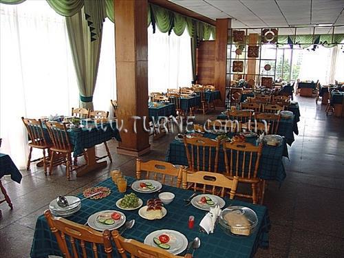 Фотография Чайка ТОК