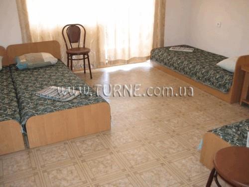 Троянда база отдыха суреті