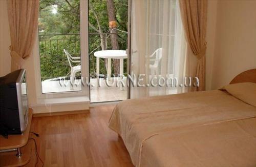 Леополь 2* суреті