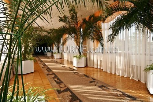 Березовый Гай санаторий фотосуреті