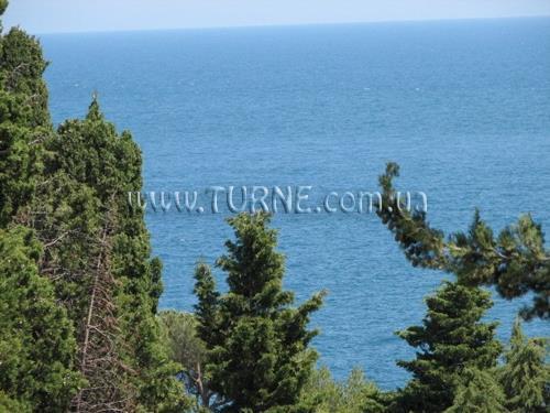 Дача Курчатова санаторий қонақ үйі