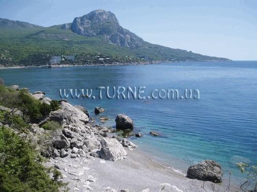 Фото Дельфин база отдыха