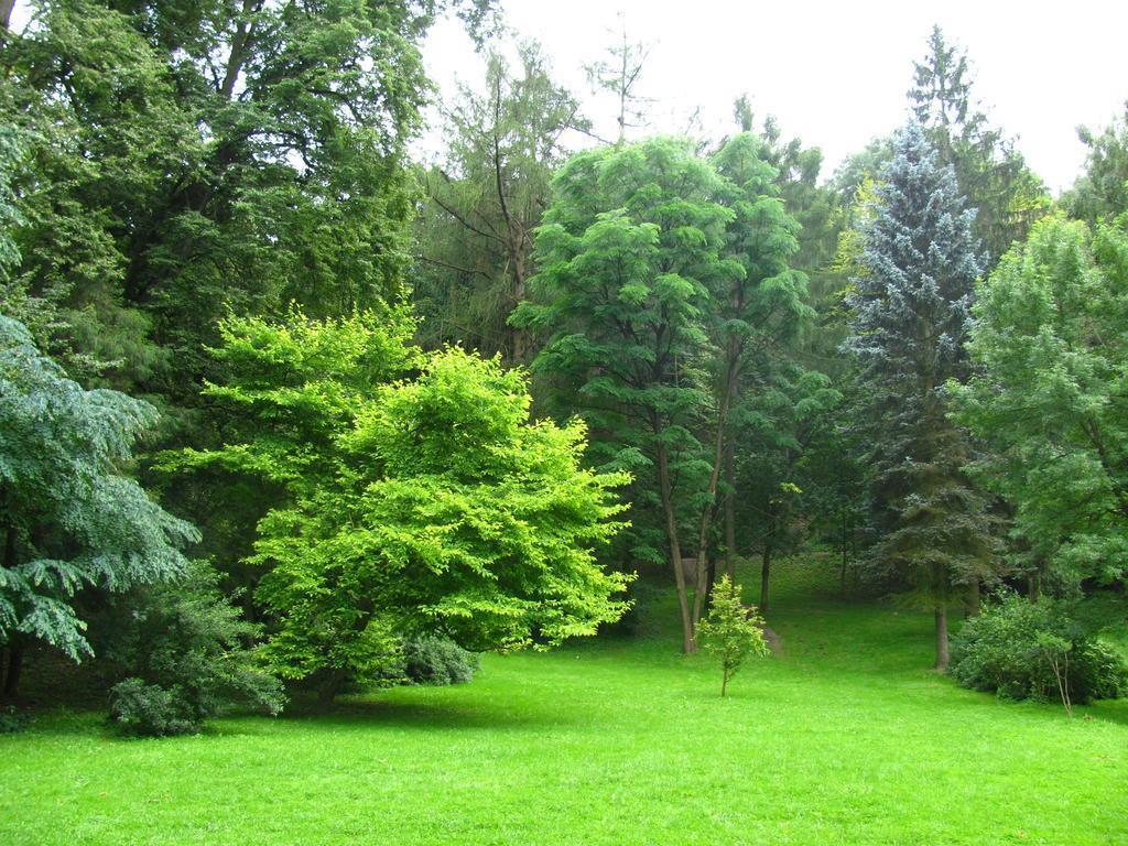 Delice 4* суреті