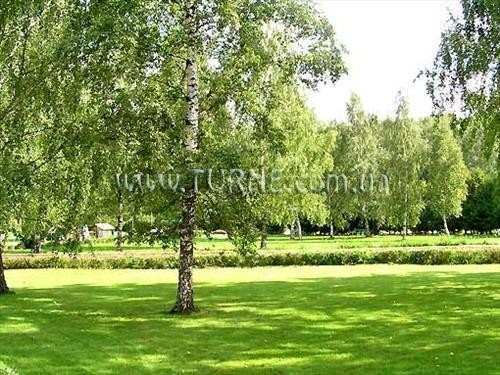 Изображение Berezovaja Roscha санаторий