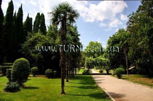 Дачa Мисхор санаторий суреті