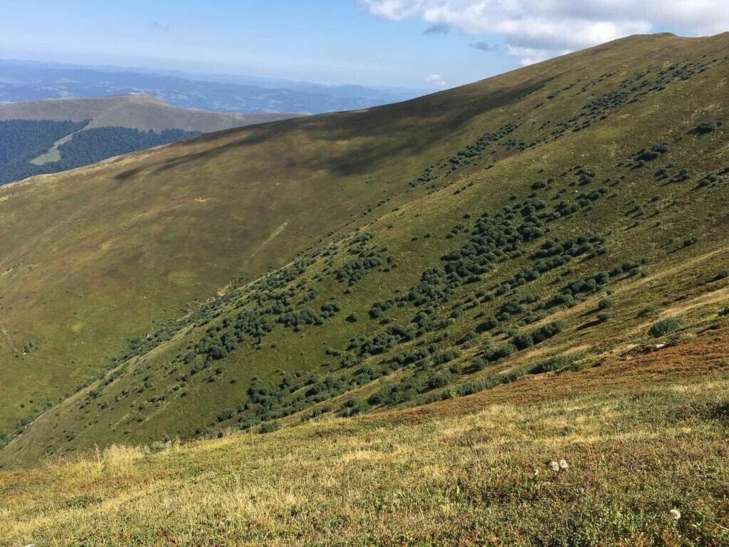 Сонячне Закарпаття Санаторій санаторий суреті