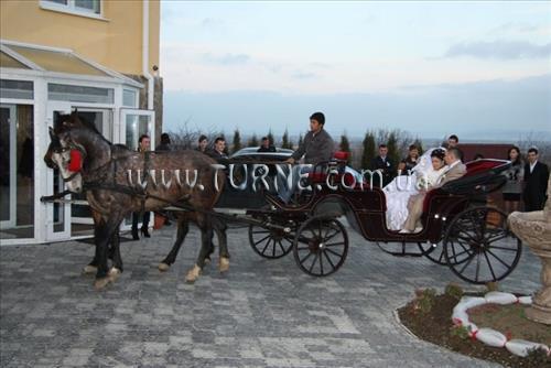 Благодать 3* суреті