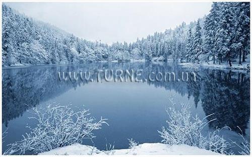 Синевирское Озеро Бо база отдыха фотосуреті