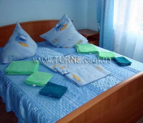 Сходницкие Карпаты 1* қонақ үйі