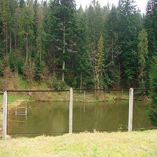 Смеричка санаторий фотосуреті