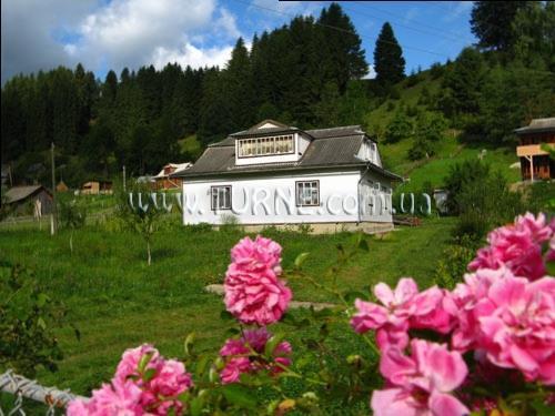 Усадьба Данчуков усадьба суреті