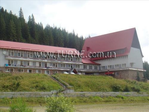 Заросляк спортивная база суреті