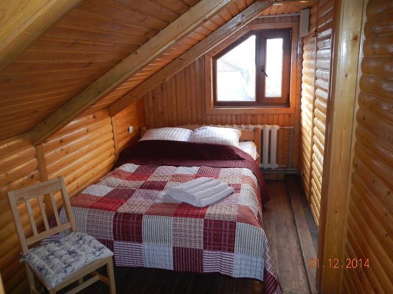 Лион 2* суреті