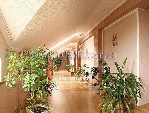 Геликон 3* суреті