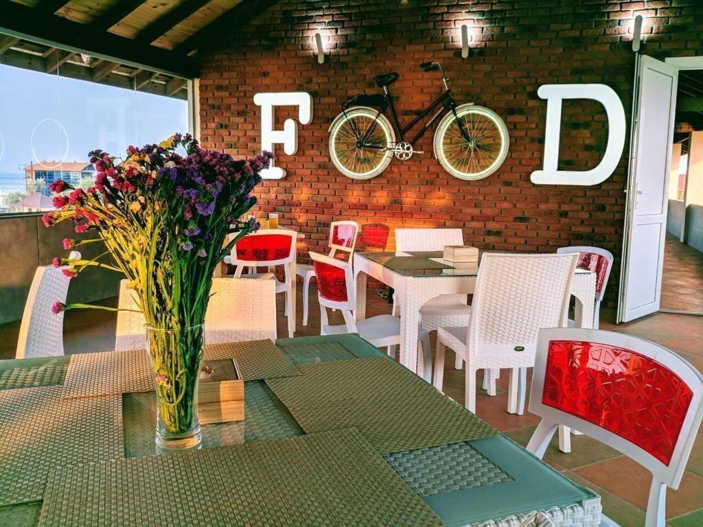 Каури 3* суреті